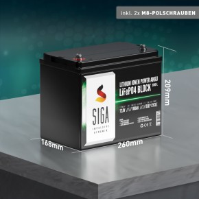 100Ah Lithium Batterie 12V SIGA LiFePO4 BMS (0% MwSt.*)