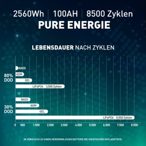 100Ah Lithium Batterie 24V SIGA LiFePO4 BMS (0% MwSt.*)