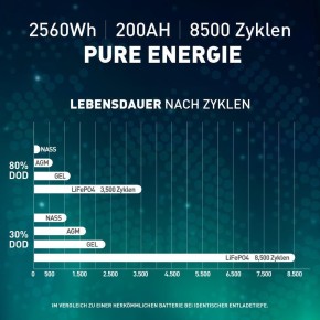 200Ah Lithium Batterie 12V SIGA LiFePO4 BMS (0% MwSt.*)